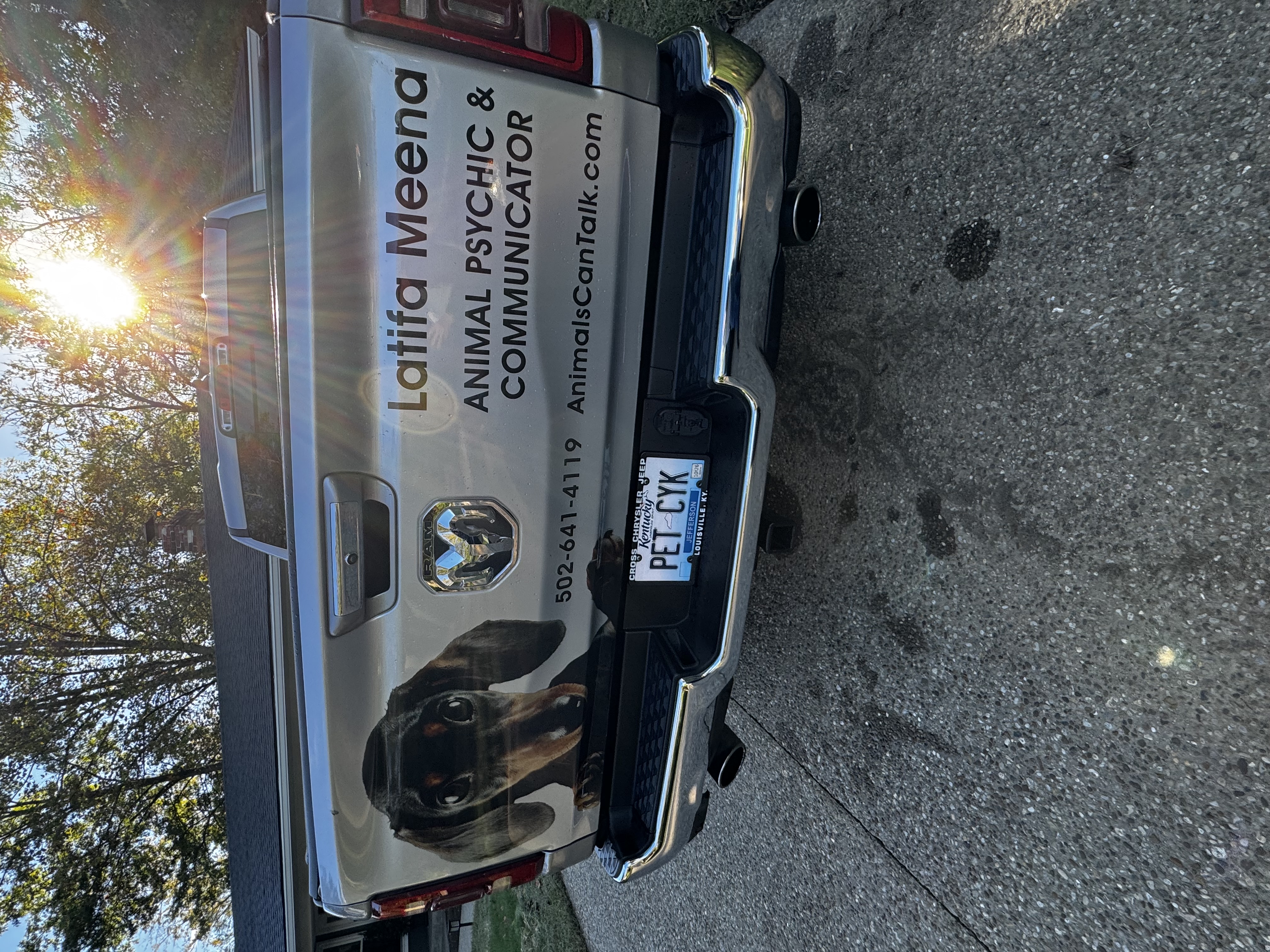 Used 2020 RAM 1500 Limited AWD/4WD image 4