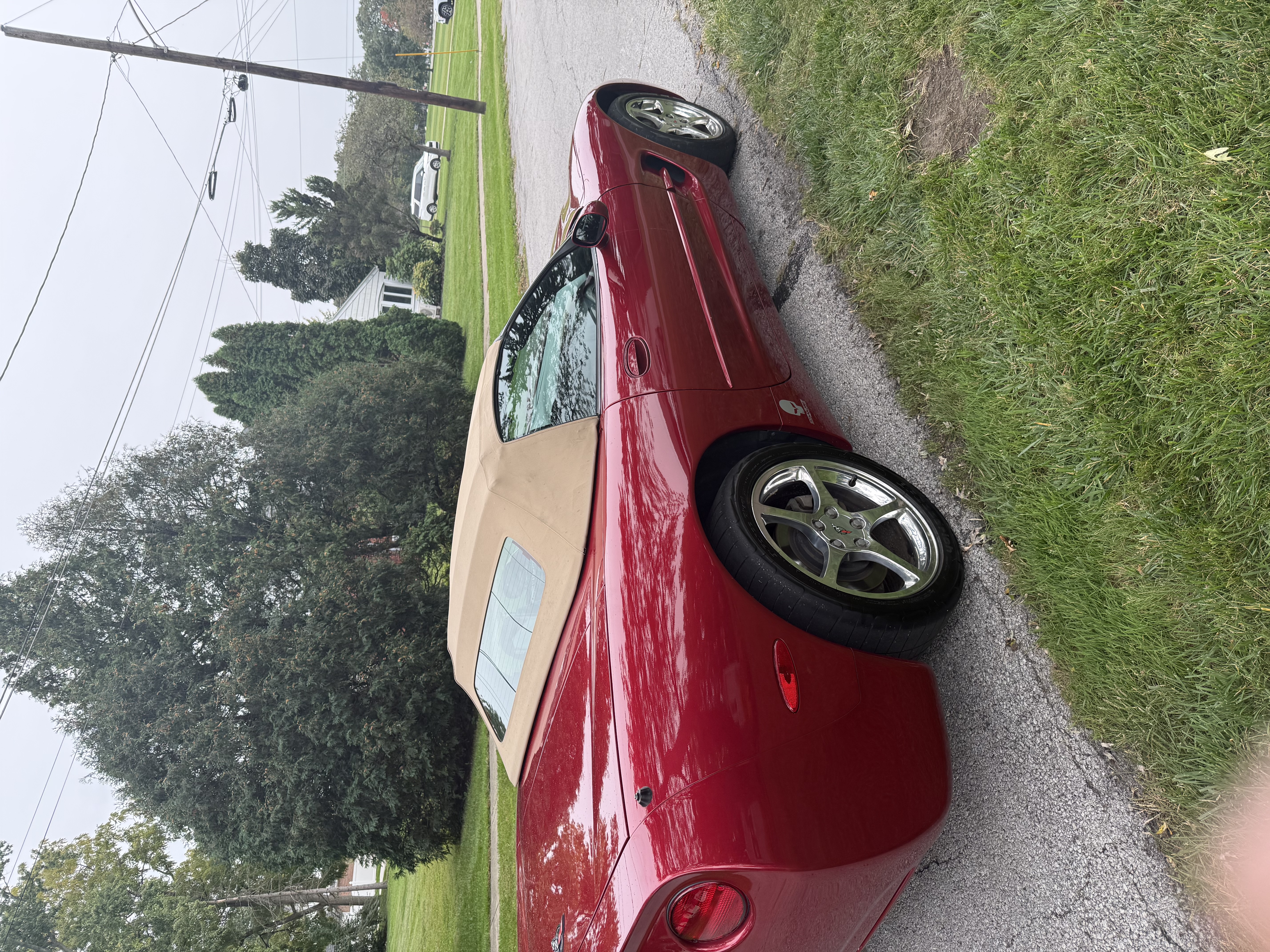 Used 2002 Chevrolet Corvette Convertible RWD image 5