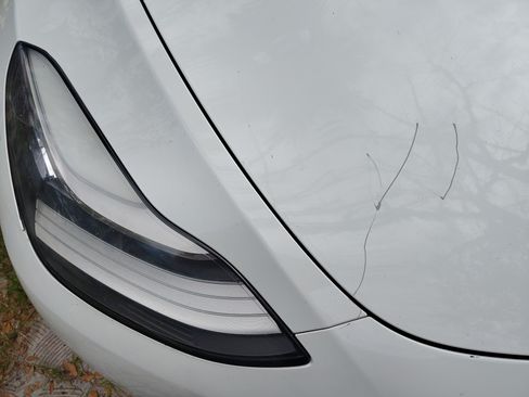 Used 2020 Tesla Model Y Long Range image 8