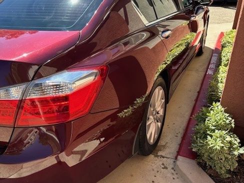 Used 2014 Honda Accord EX-L image 8