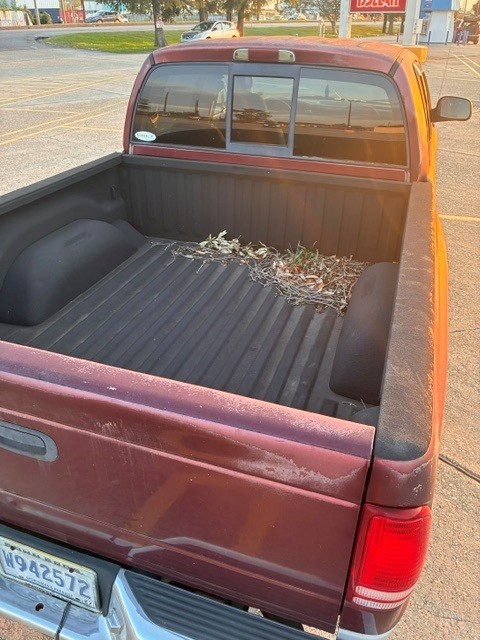 Used 2001 Dodge Dakota 2WD Quad Cab image 10