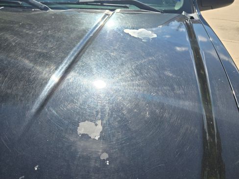 Used 2011 Chevrolet Silverado 1500 LT w/ Texas Edition image 10