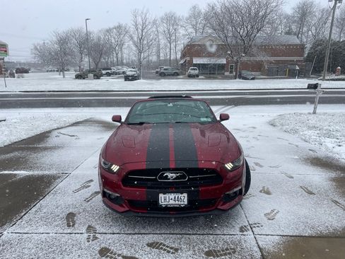 Used 2015 Ford Mustang GT Premium w/ Equipment Group 401A image 2