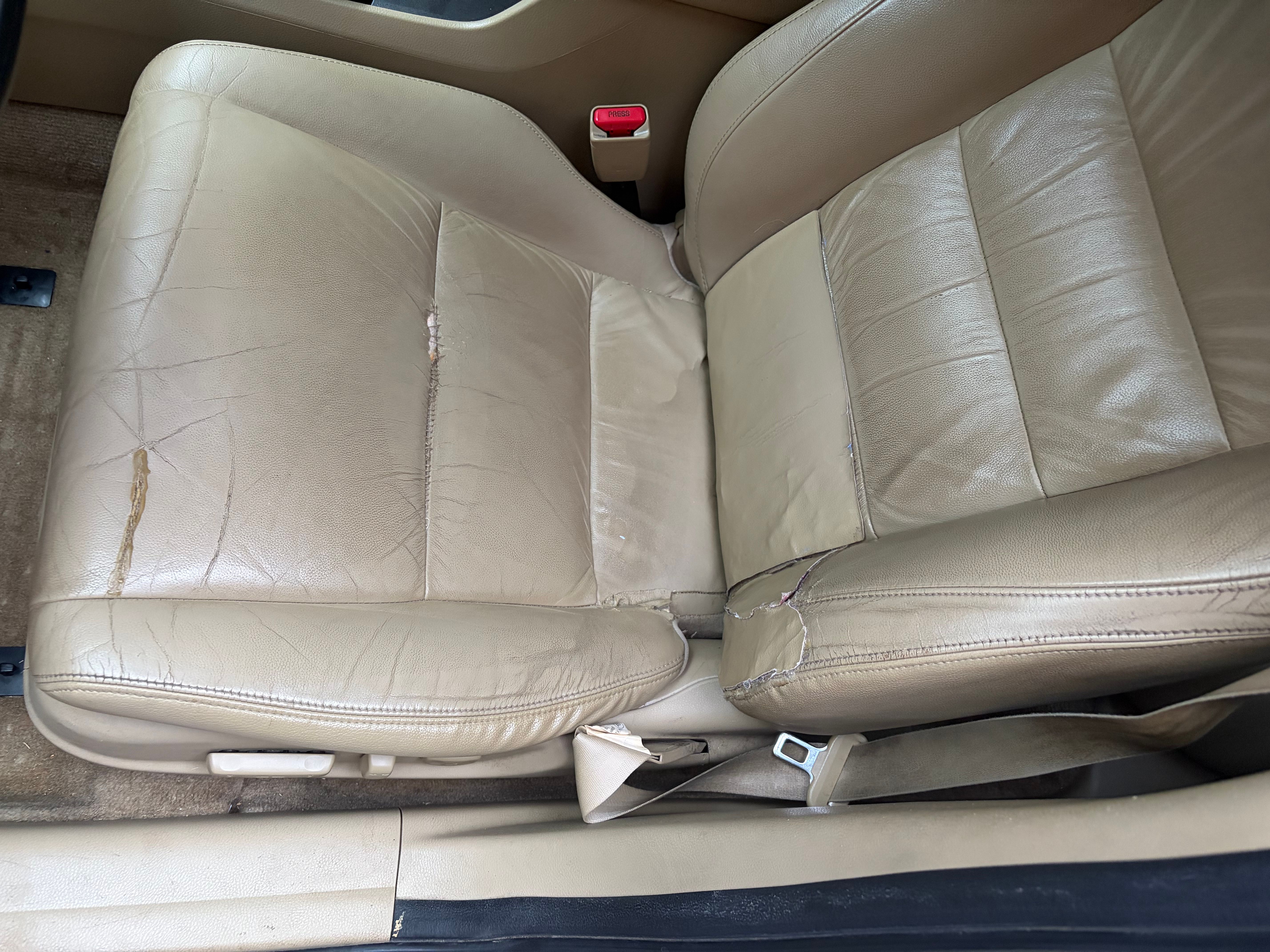 Used 2012 Honda Accord SE image 12