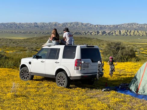 Used 2013 Land Rover LR4 HSE image 4