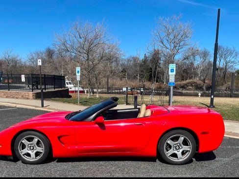 Used 1999 Chevrolet Corvette Convertible w/ Memory Pkg image 2