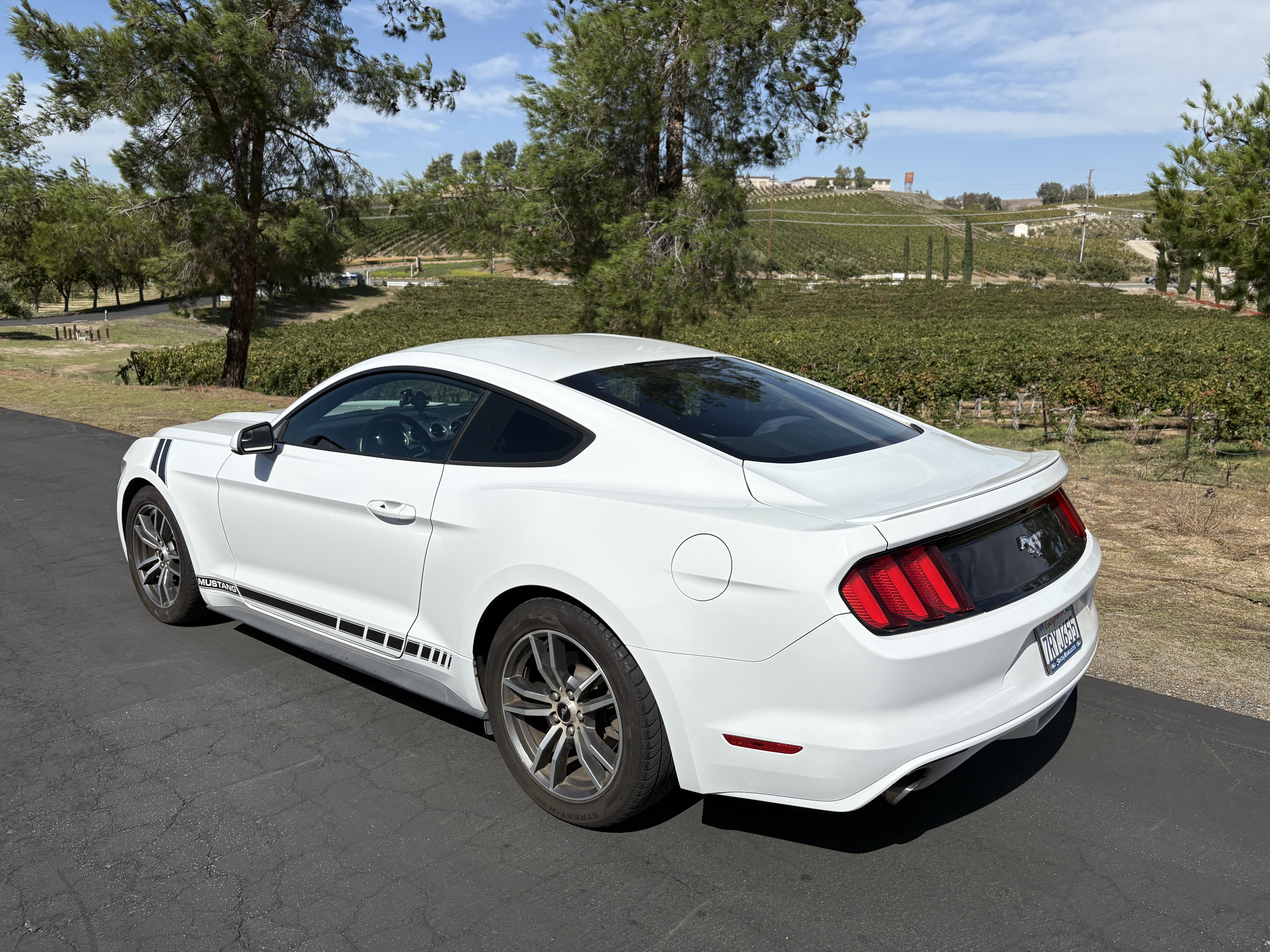 Used 2016 Ford Mustang Coupe RWD image 12