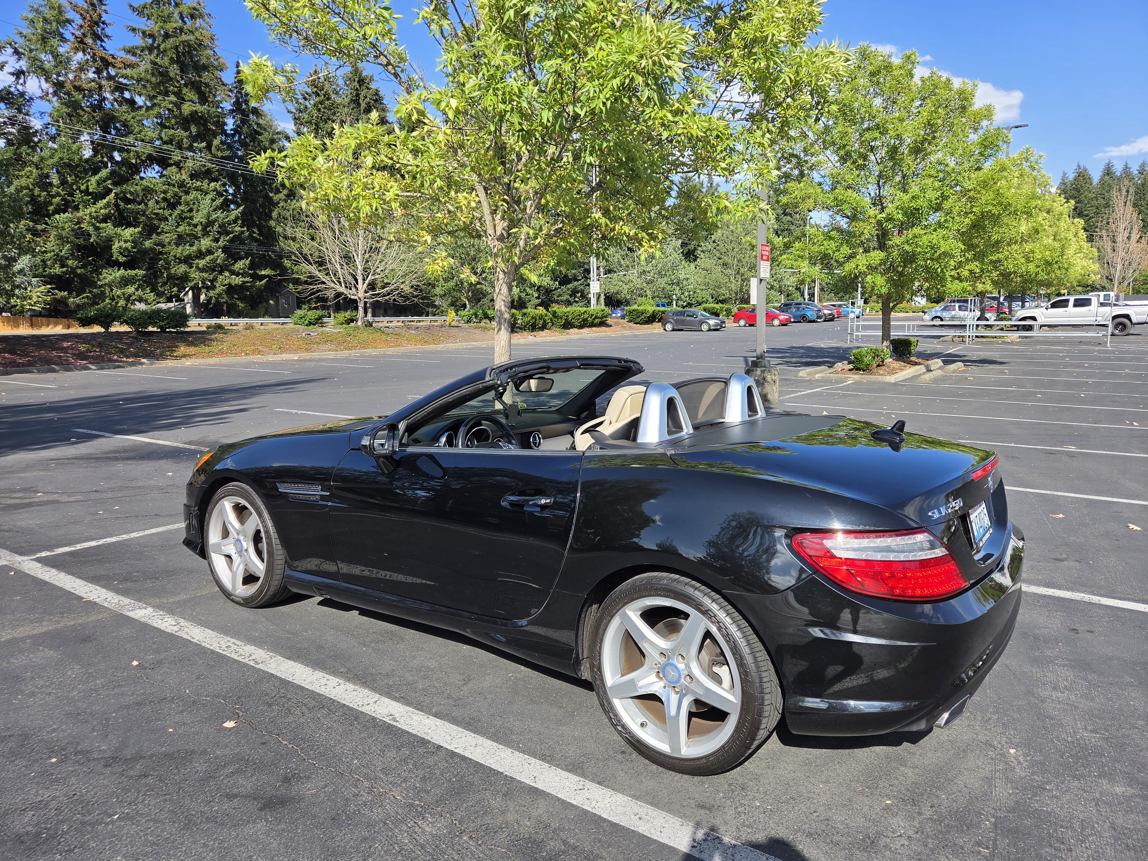 Used 2013 Mercedes-Benz SLK 250 w/ Premium I Pkg image 20