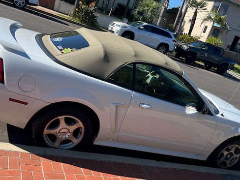 Used 2003 Ford Mustang Deluxe Convertible image 2