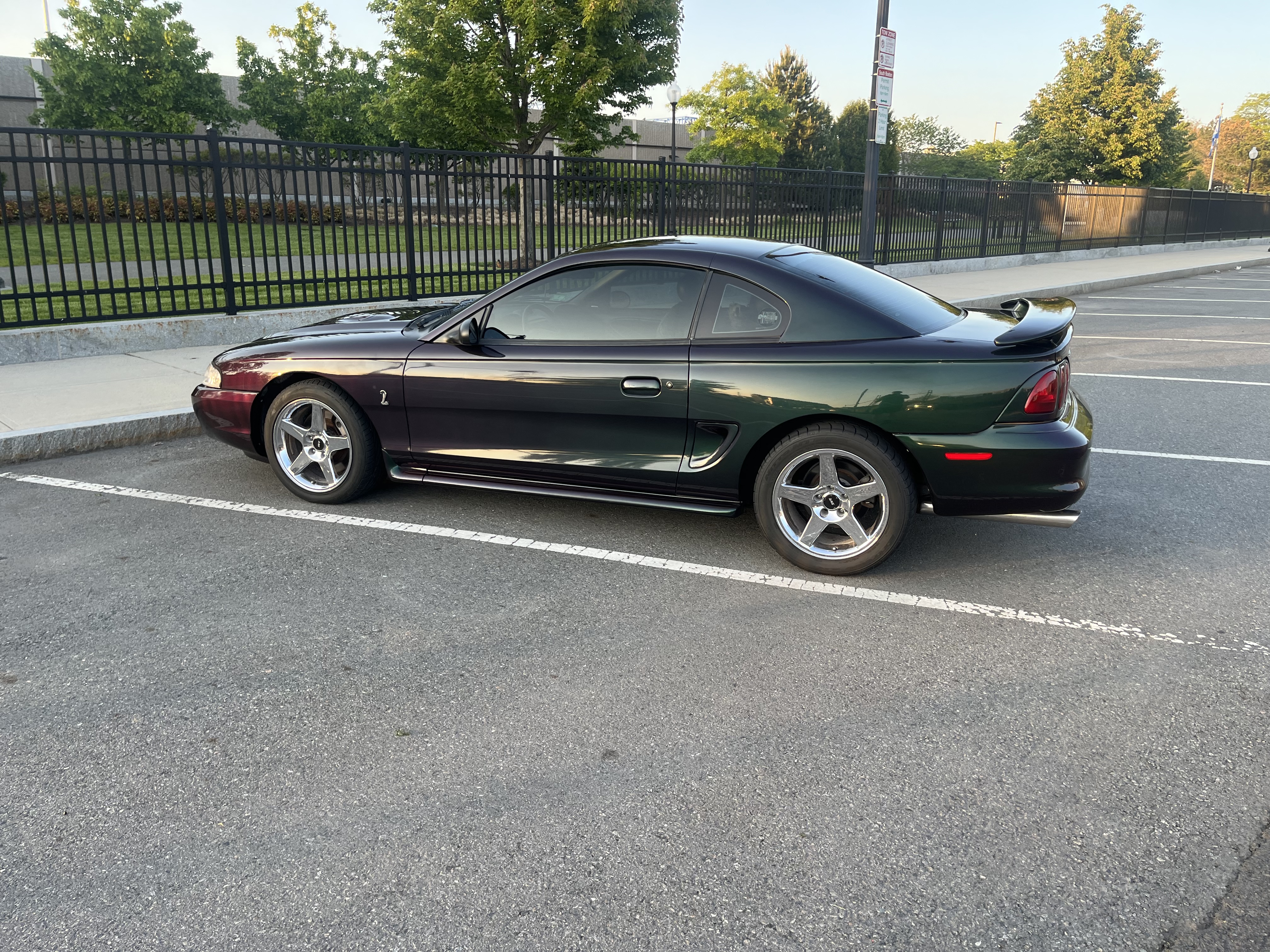 Used 1996 Ford Mustang Cobra RWD image 2