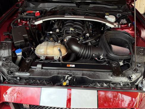 Used 2019 Ford Mustang Shelby GT350 w/ Technology Package image 9