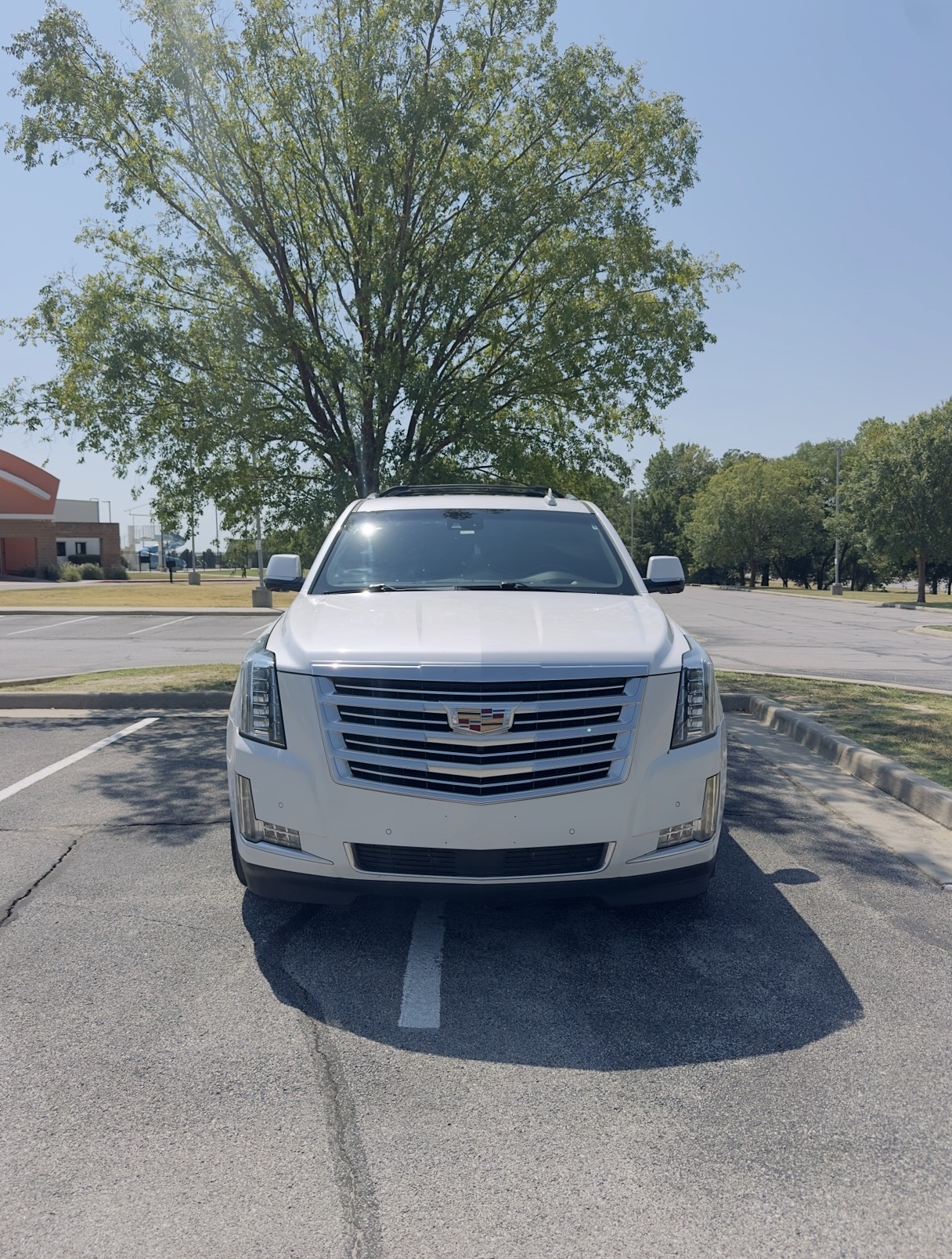 Used 2016 Cadillac Escalade Platinum AWD/4WD image 2