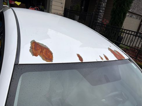 Used 2013 Toyota Corolla LE image 12