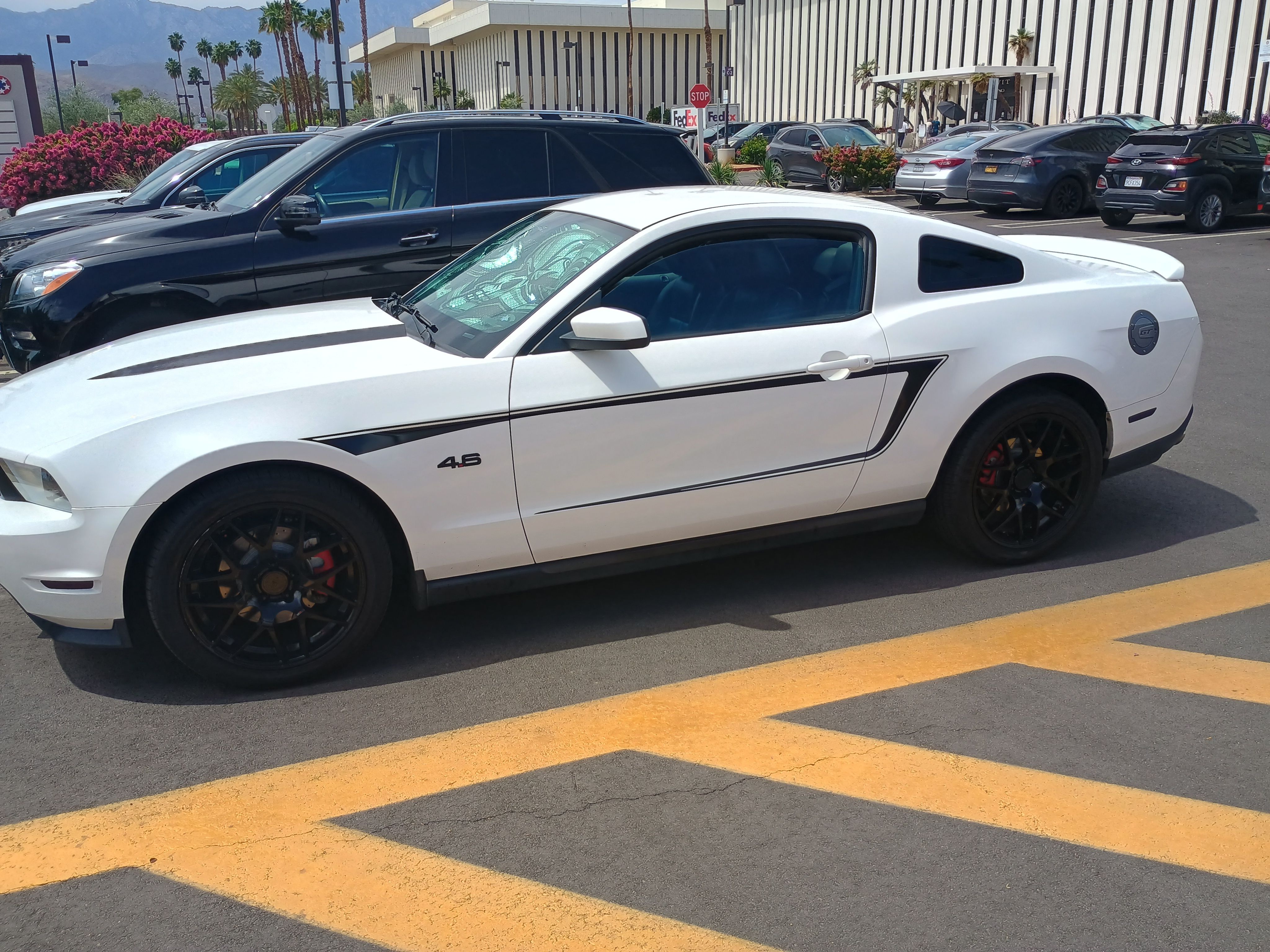 Used 2010 Ford Mustang GT RWD image 8