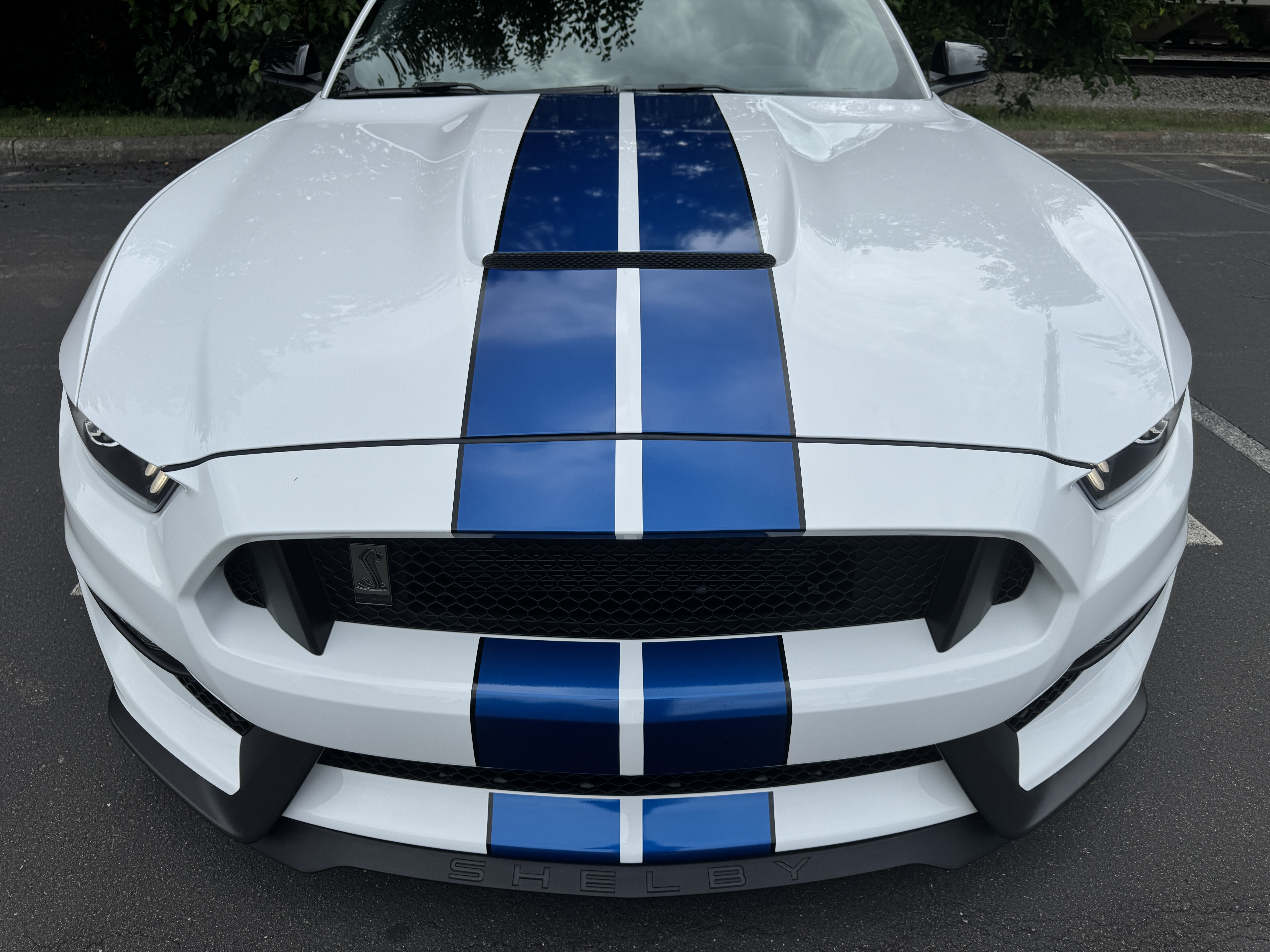 Used 2018 Ford Mustang Shelby GT350 w/ Electronics Package RWD image 5