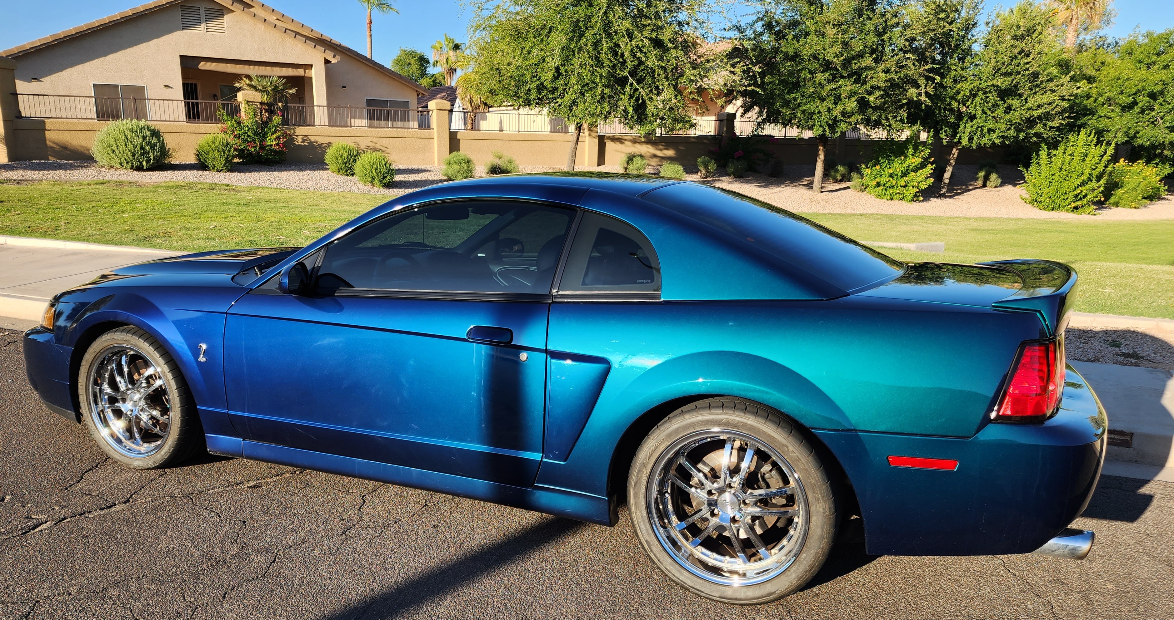 Used 2004 Ford Mustang Cobra RWD image 12