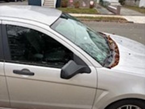 Used 2009 Ford Focus SE image 12