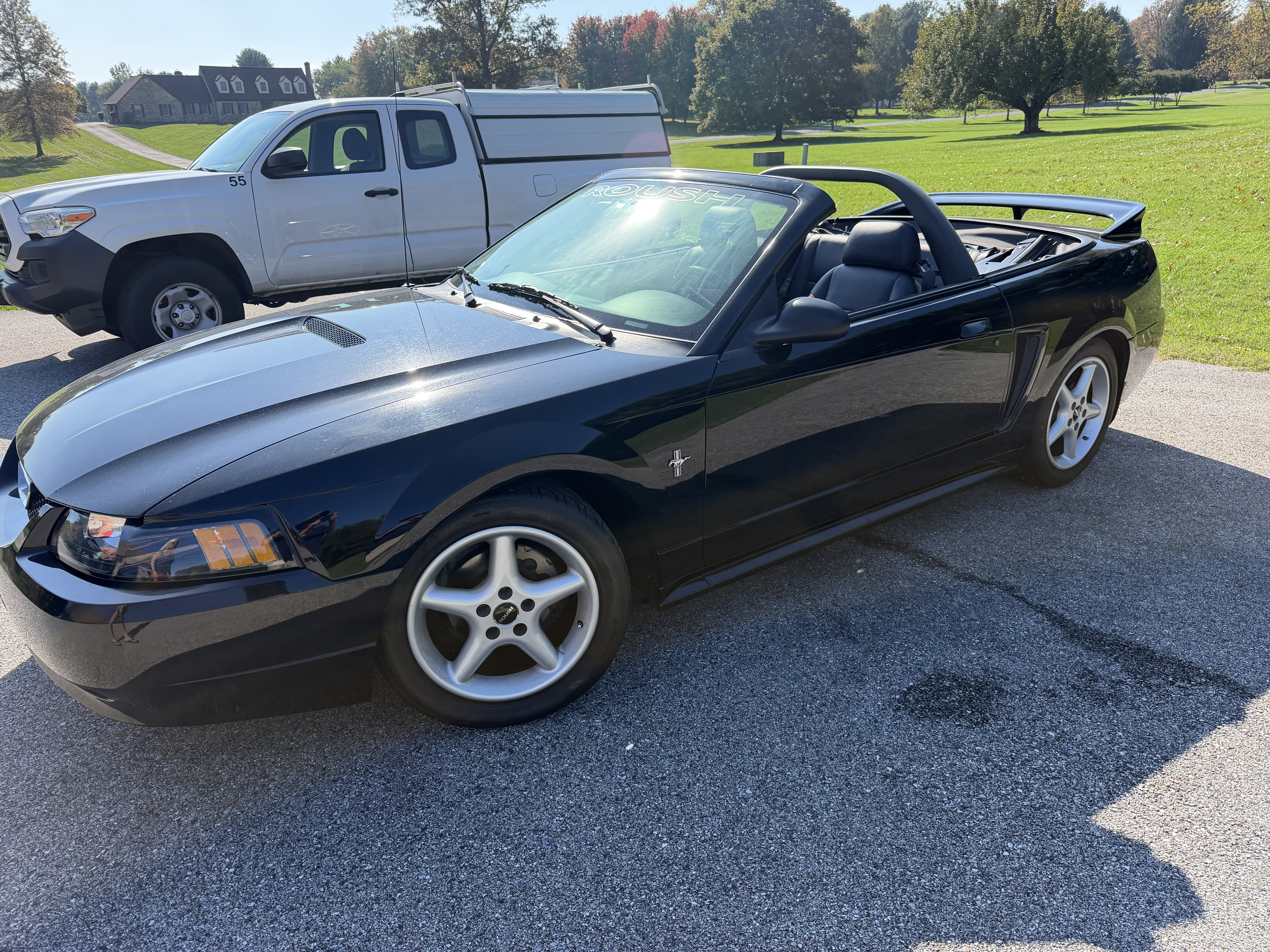 Used 2001 Ford Mustang Premium RWD image 12