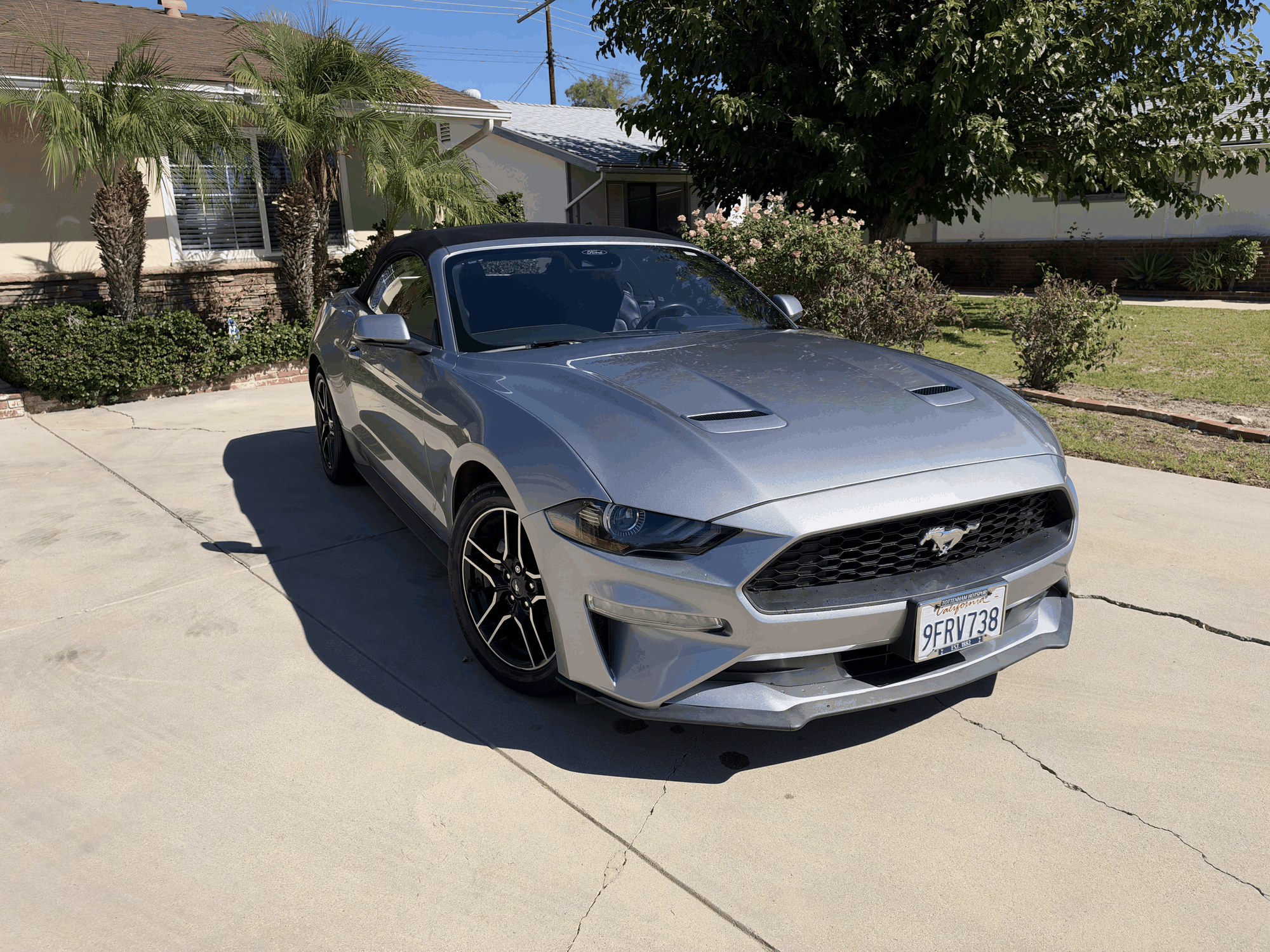 Used 2023 Ford Mustang Premium w/ Equipment Group 201A RWD image 6