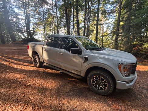 Used 2023 Ford F150 XLT w/ Equipment Group 302A High image 5