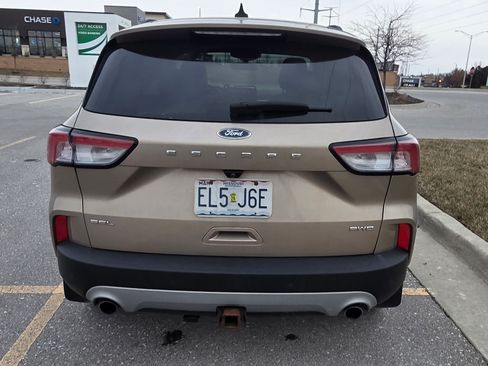 Used 2020 Ford Escape SEL image 6