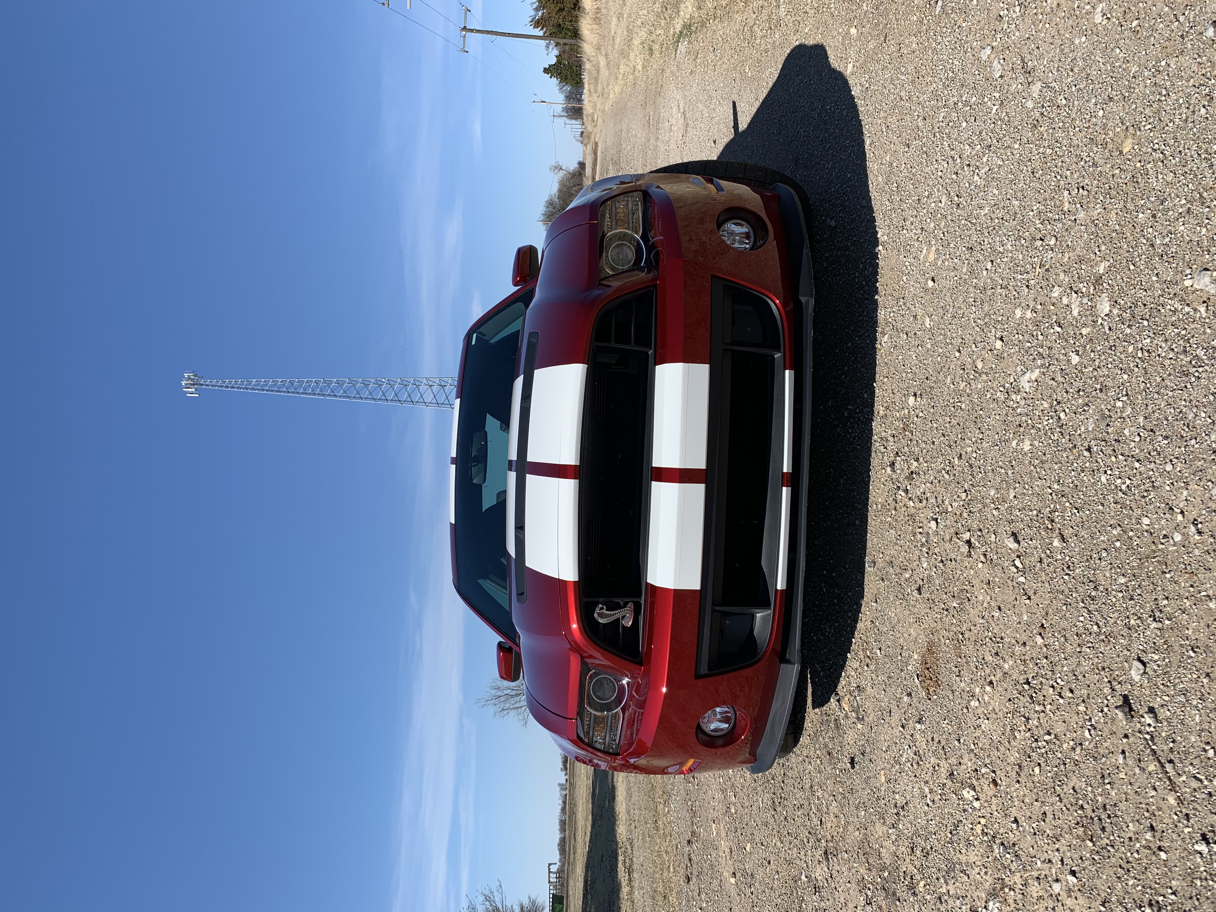 Used 2014 Ford Mustang Shelby GT500 w/ Equipment Group 821A RWD image 10