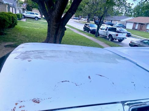 Used 1995 Dodge Dakota 2WD Club Cab image 10