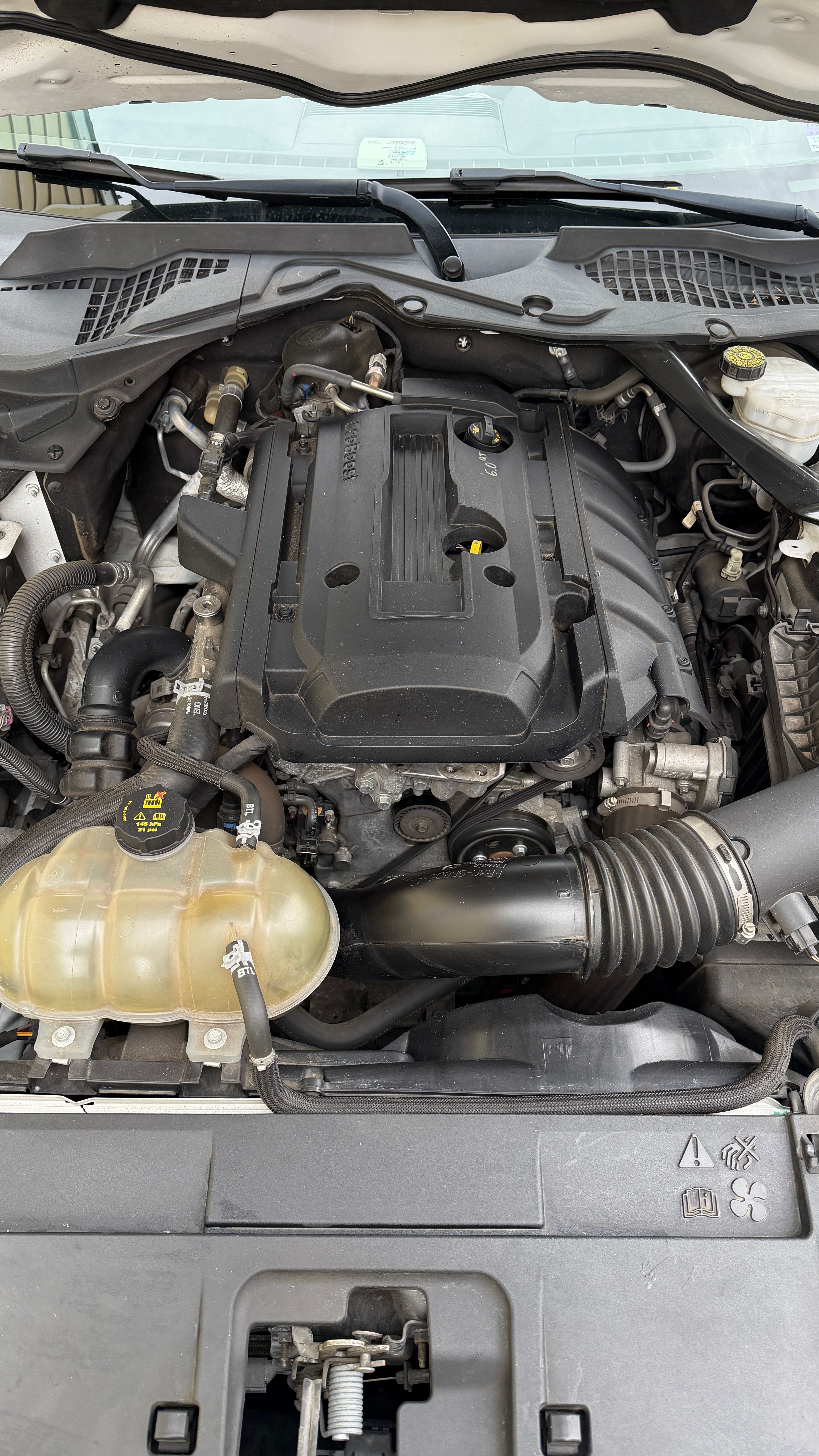 Used 2019 Ford Mustang Premium RWD image 12