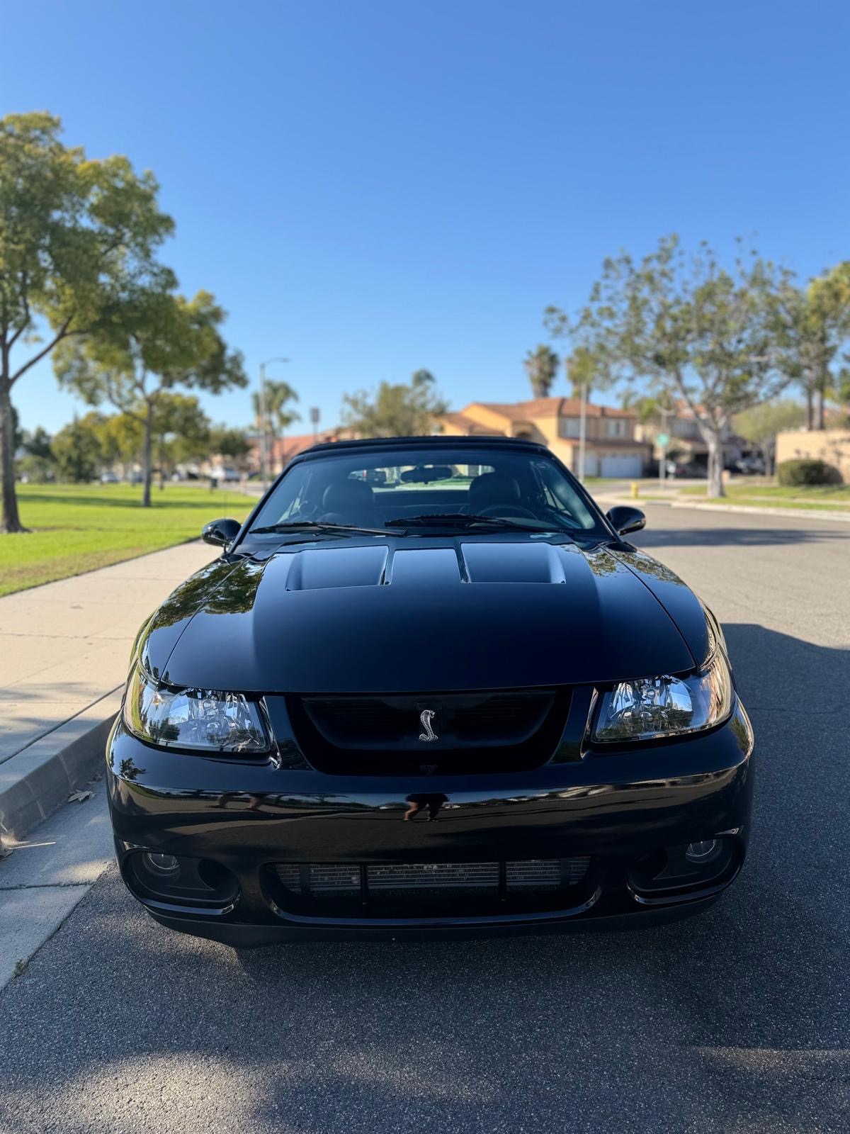 Used 2004 Ford Mustang Cobra RWD image 6
