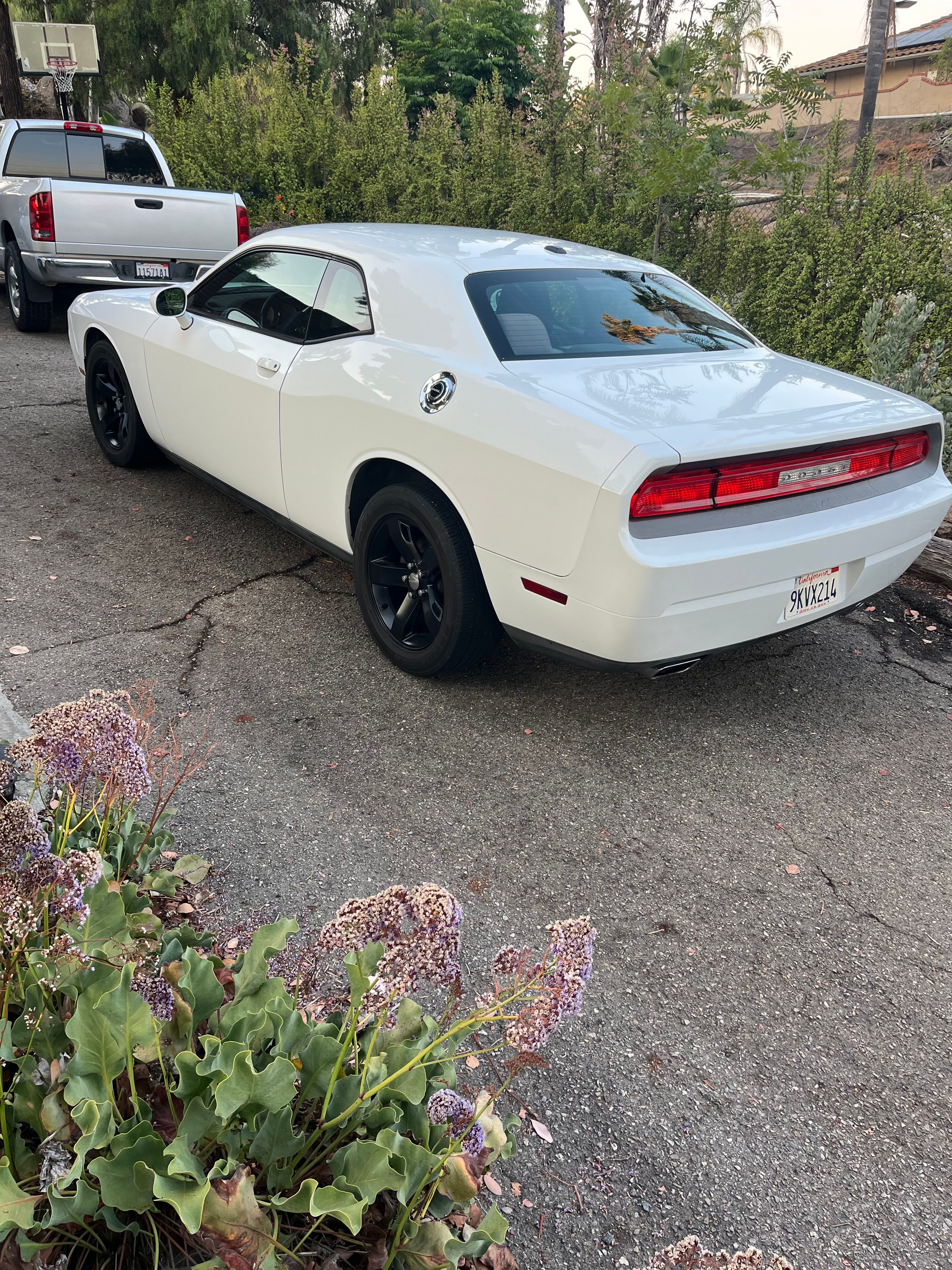 Used 2012 Dodge Challenger SXT RWD image 5