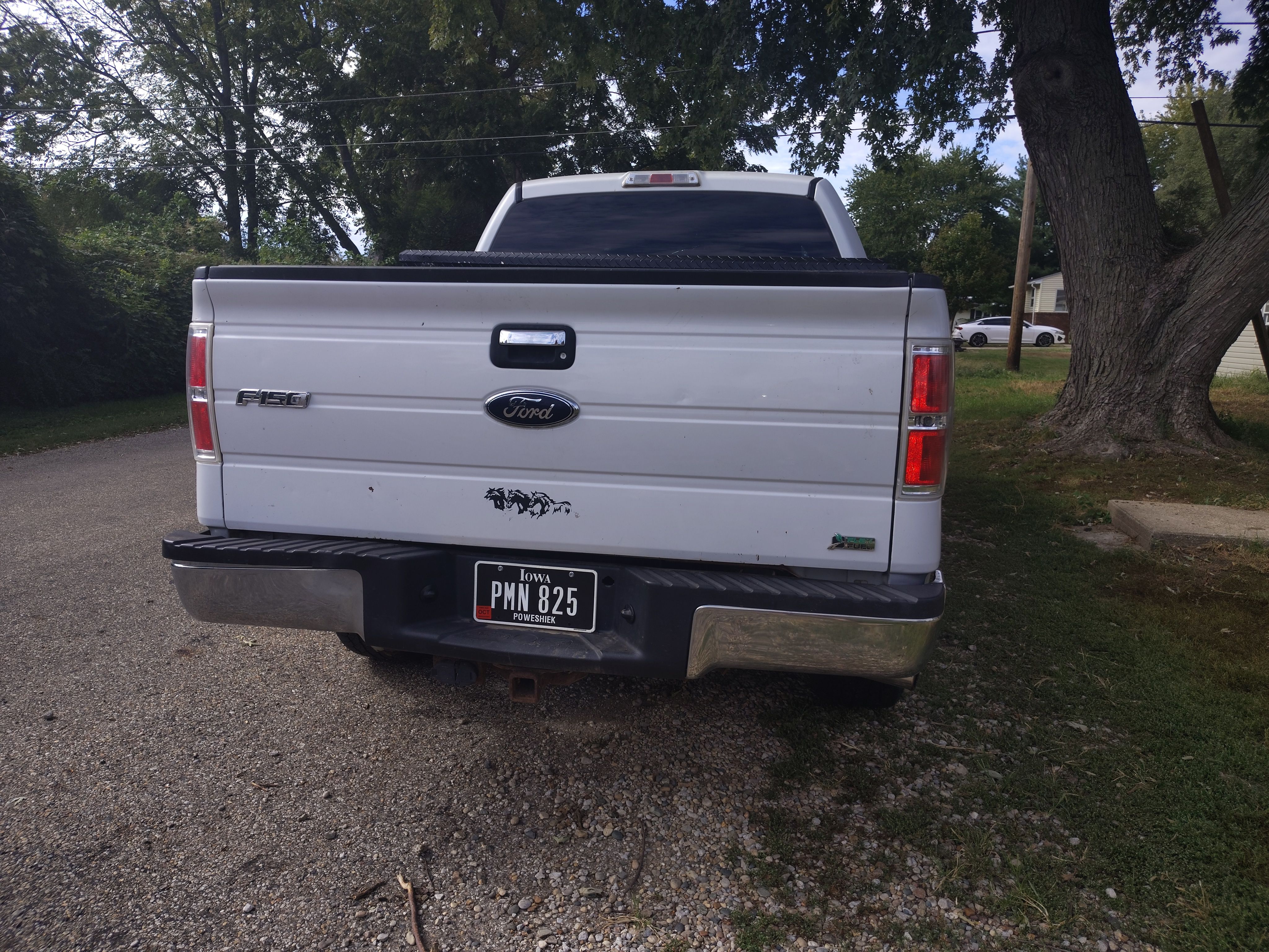 Used 2010 Ford F150 XL AWD/4WD image 12