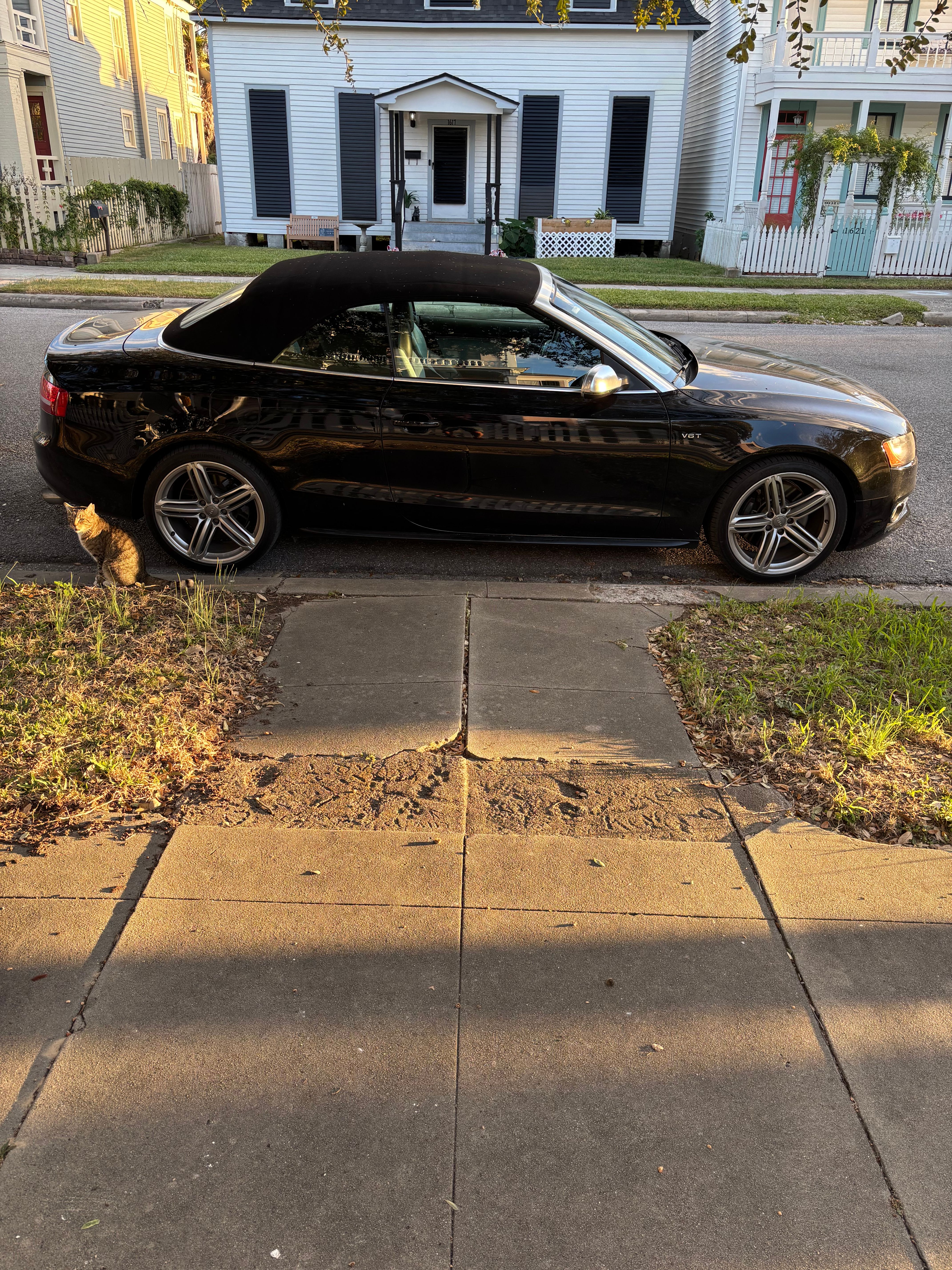 Used 2010 Audi S5 Prestige AWD/4WD image 9