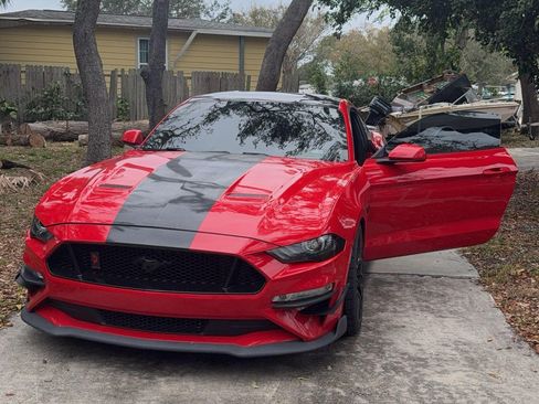 Used 2019 Ford Mustang GT w/ Equipment Group 301A image 1