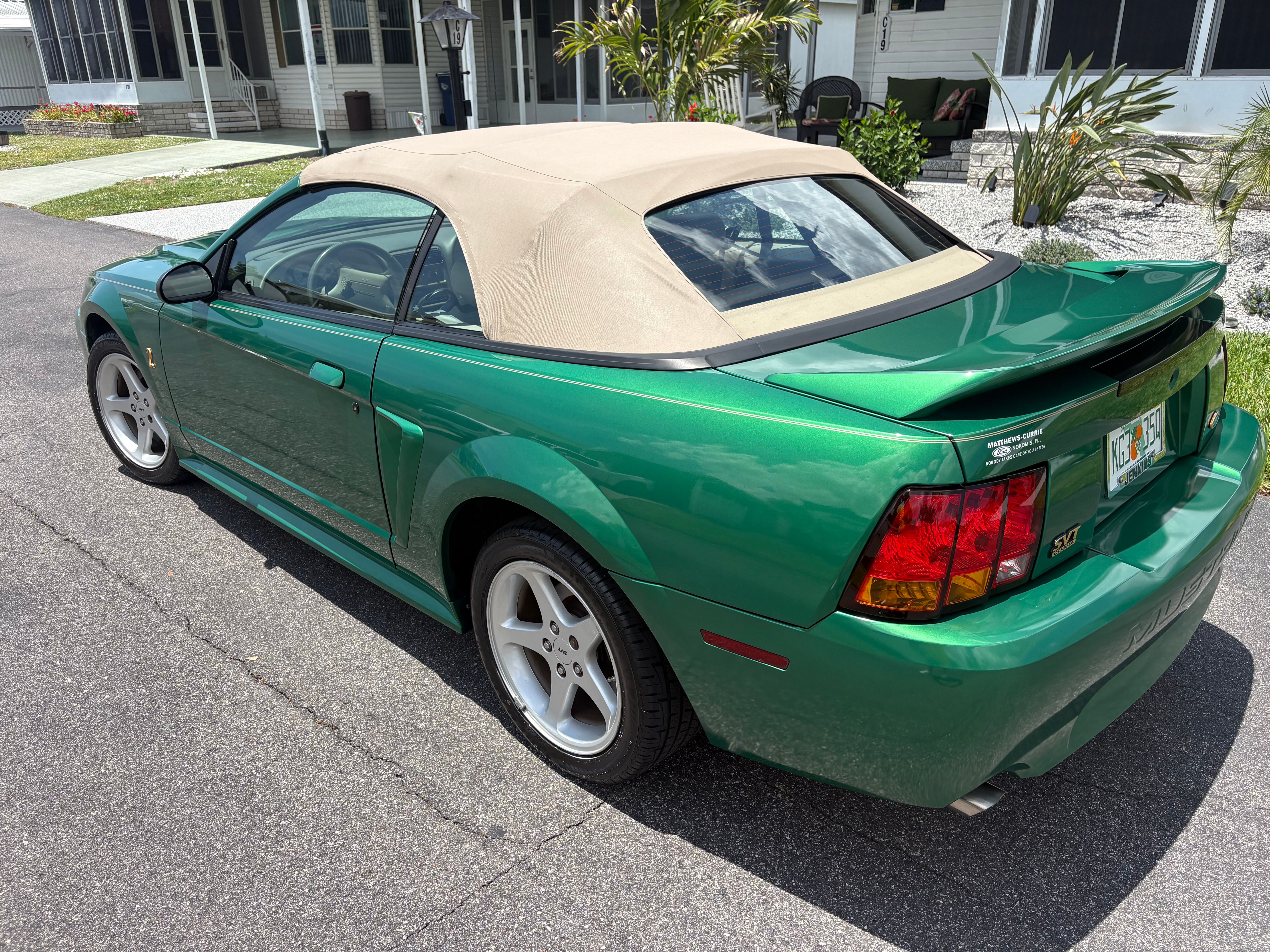 Used 1999 Ford Mustang Cobra RWD image 8