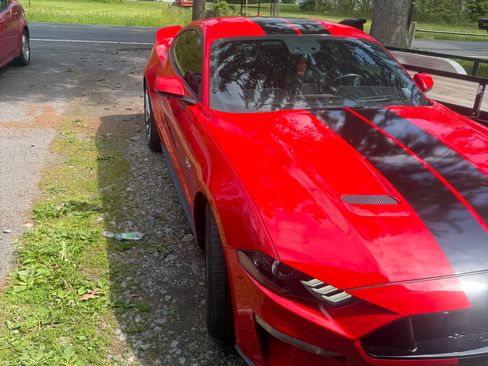 Used 2019 Ford Mustang GT Premium w/ Equipment Group 401A RWD image 4