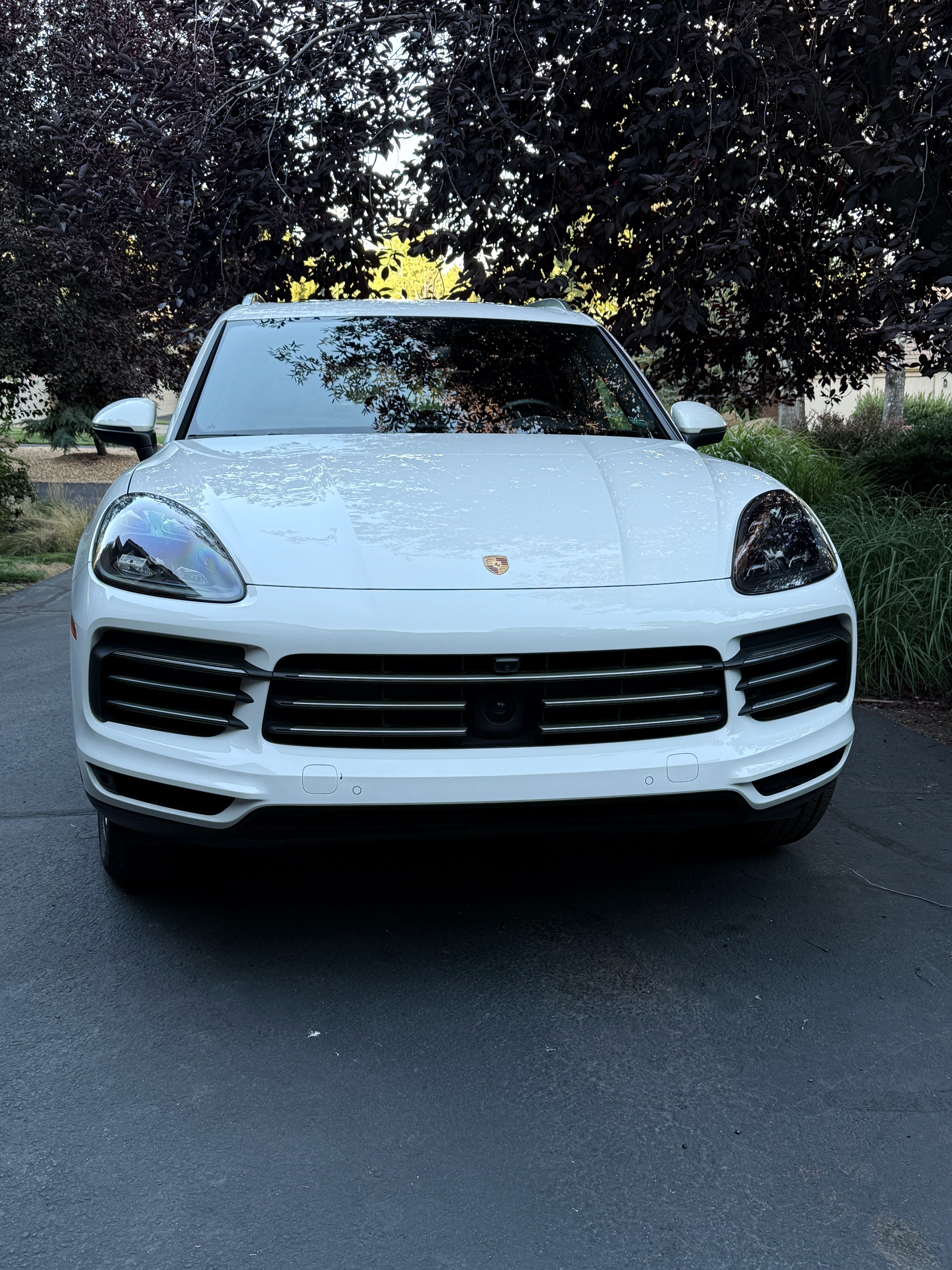 Used 2019 Porsche Cayenne E-Hybrid AWD/4WD image 4