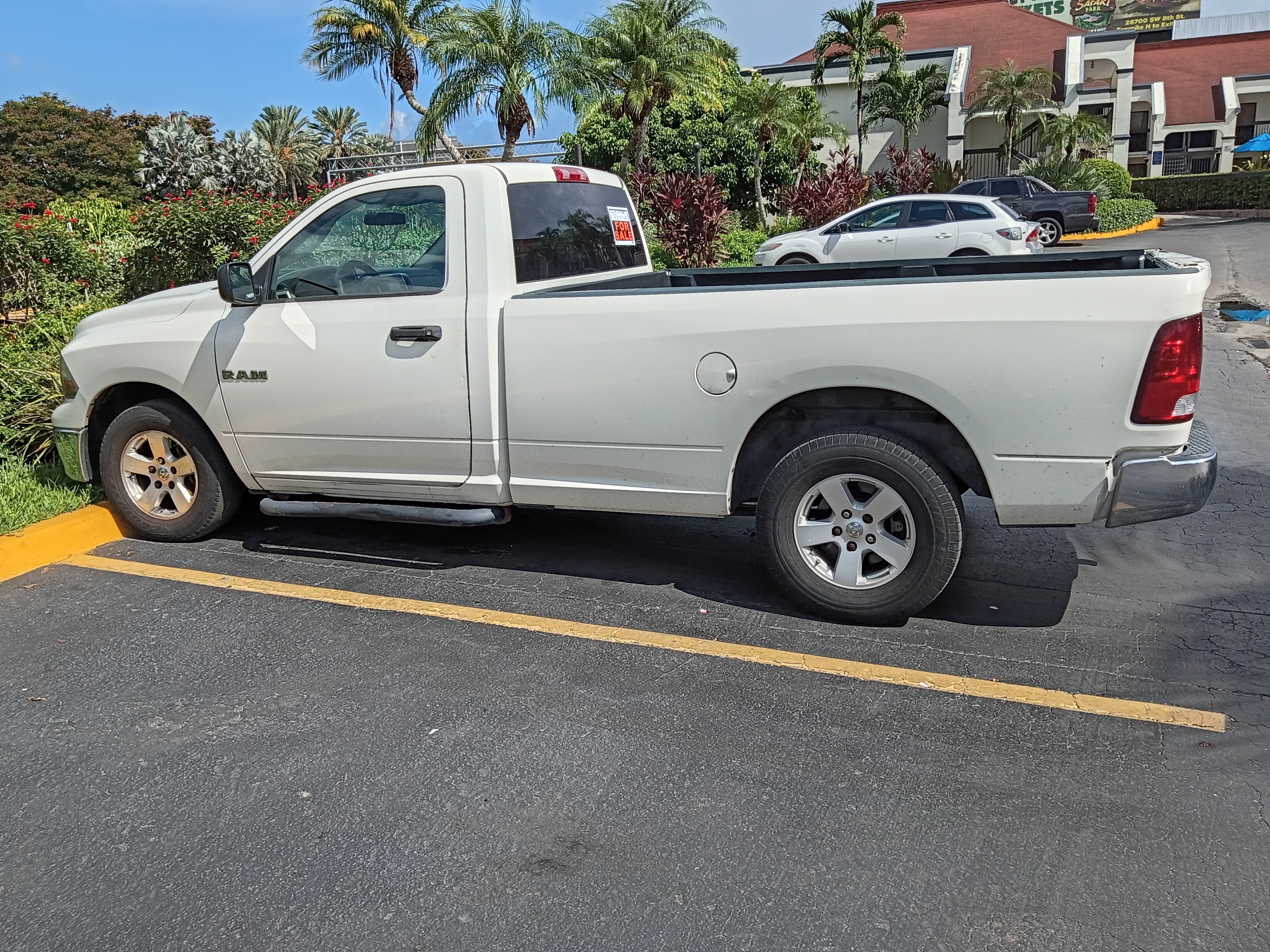 Used 2009 Dodge Ram 1500 Truck SLT RWD image 1