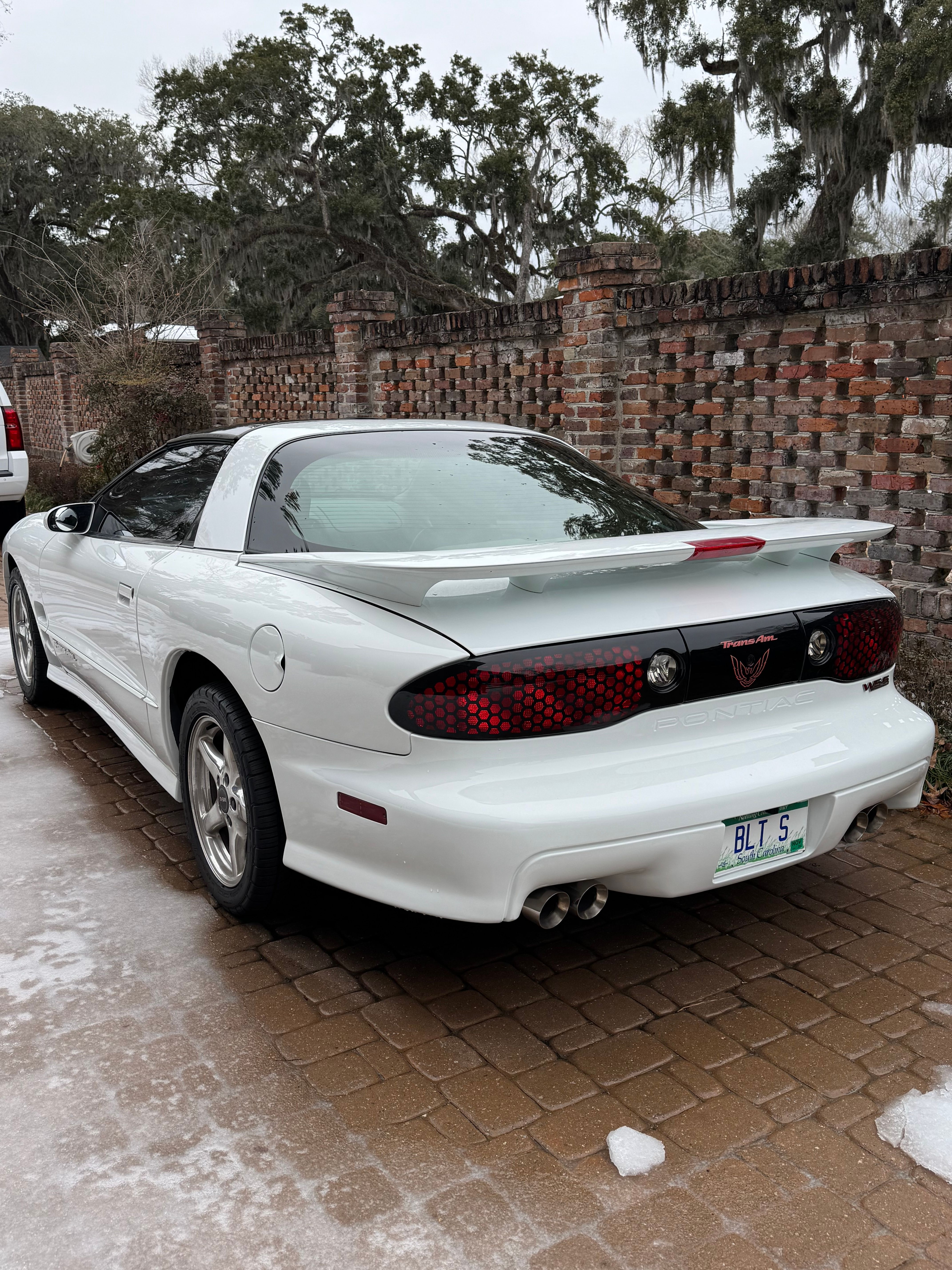 Used 2000 Pontiac Firebird Formula RWD image 1