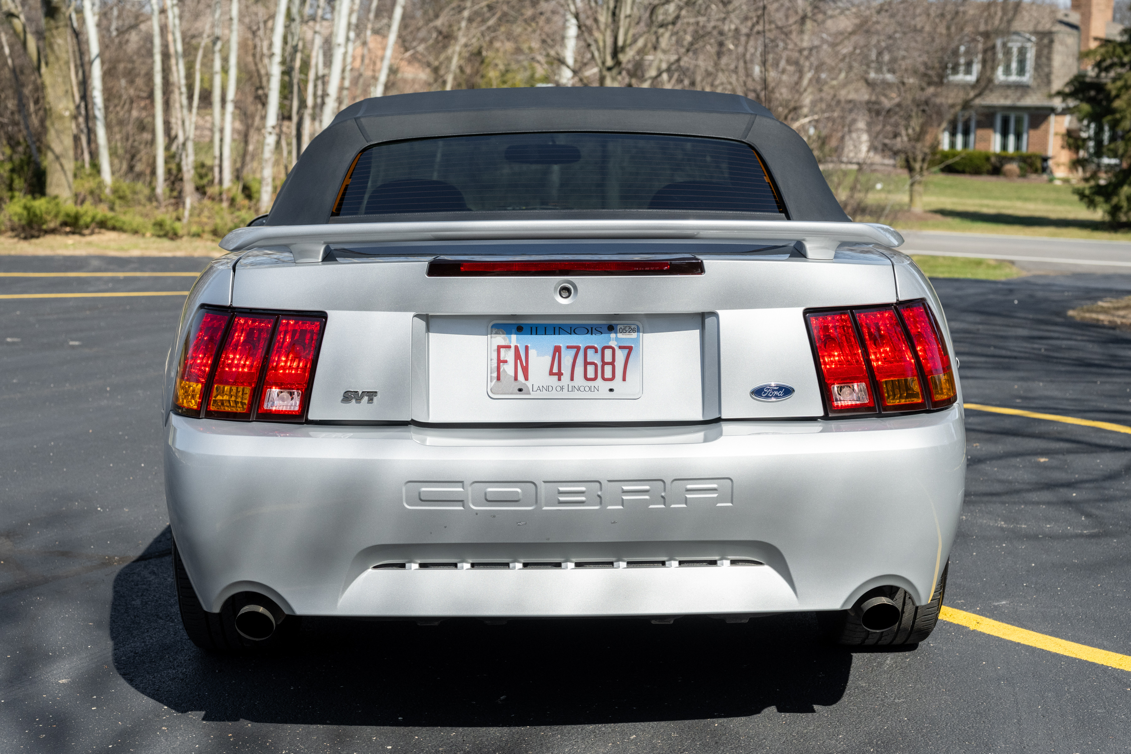 Used 2001 Ford Mustang Cobra RWD image 10