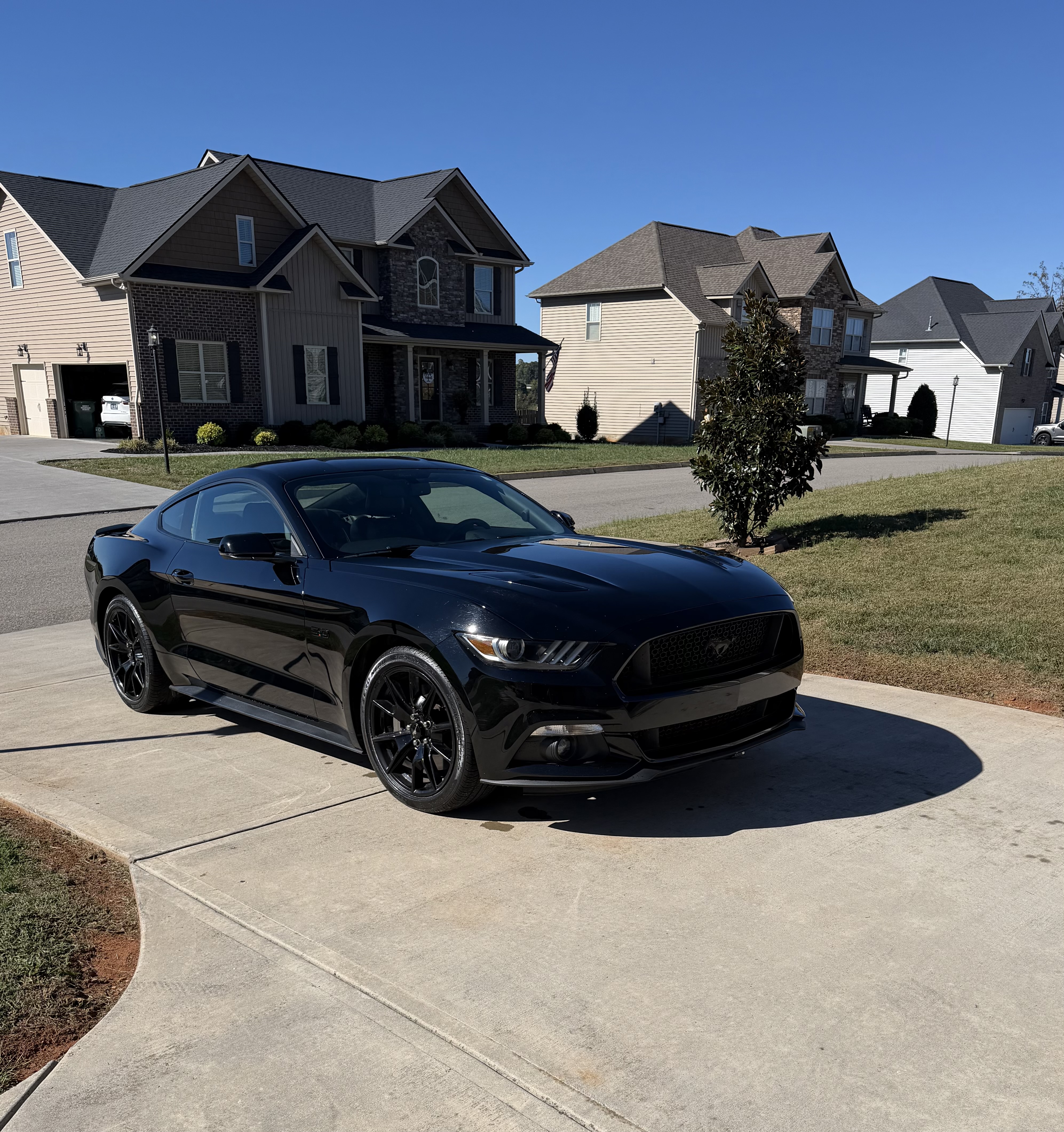 Used 2017 Ford Mustang GT Premium w/ Equipment Group 401A RWD image 8