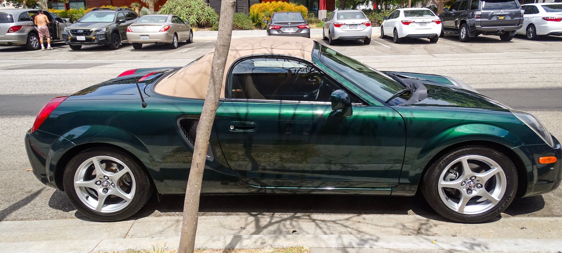Used 2002 Toyota MR2 w/ Leather Pkg RWD image 5