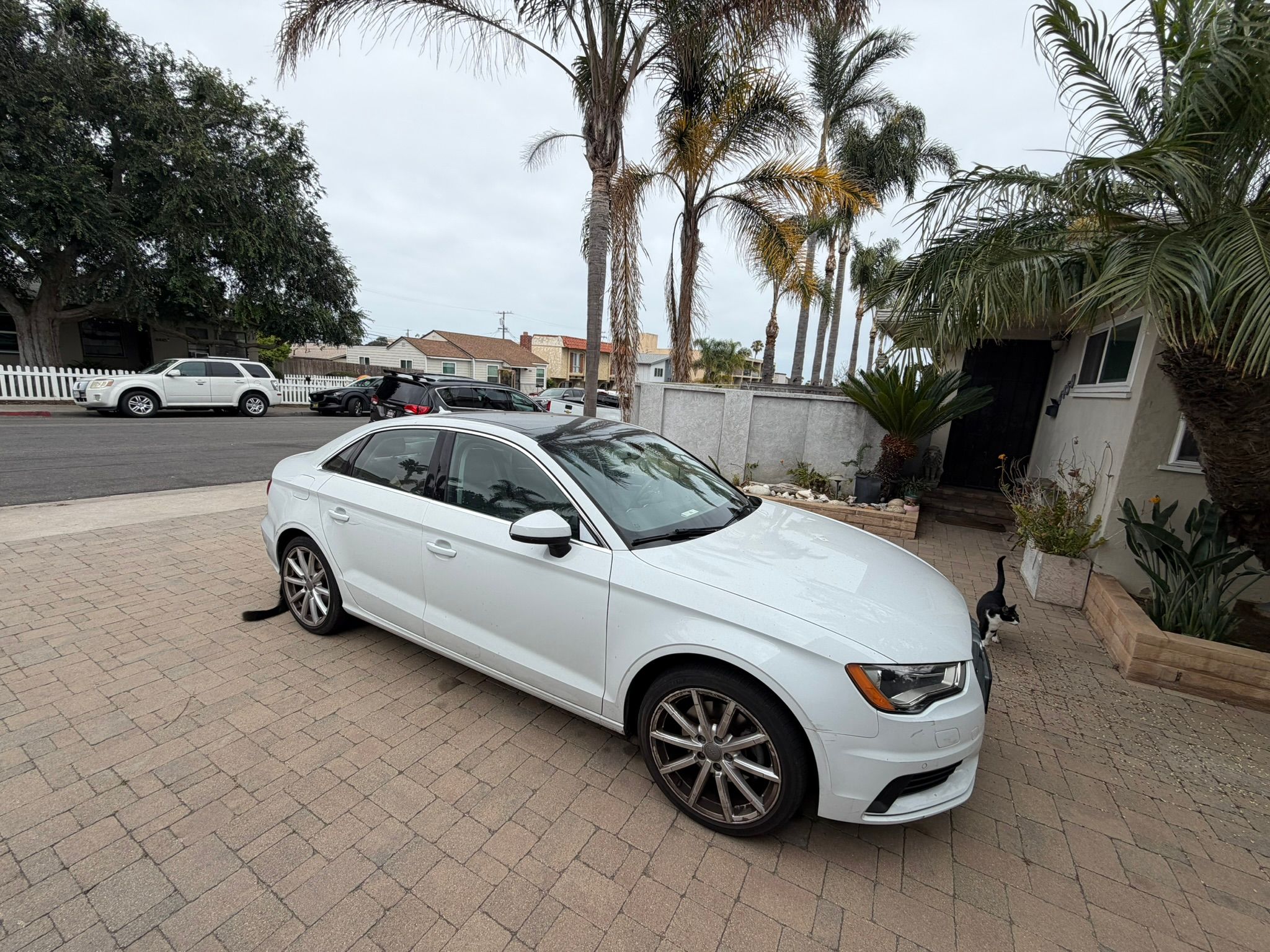 Used 2015 Audi A3 2.0T Premium Plus AWD/4WD image 13
