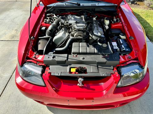 Used 1999 Ford Mustang Cobra RWD image 8
