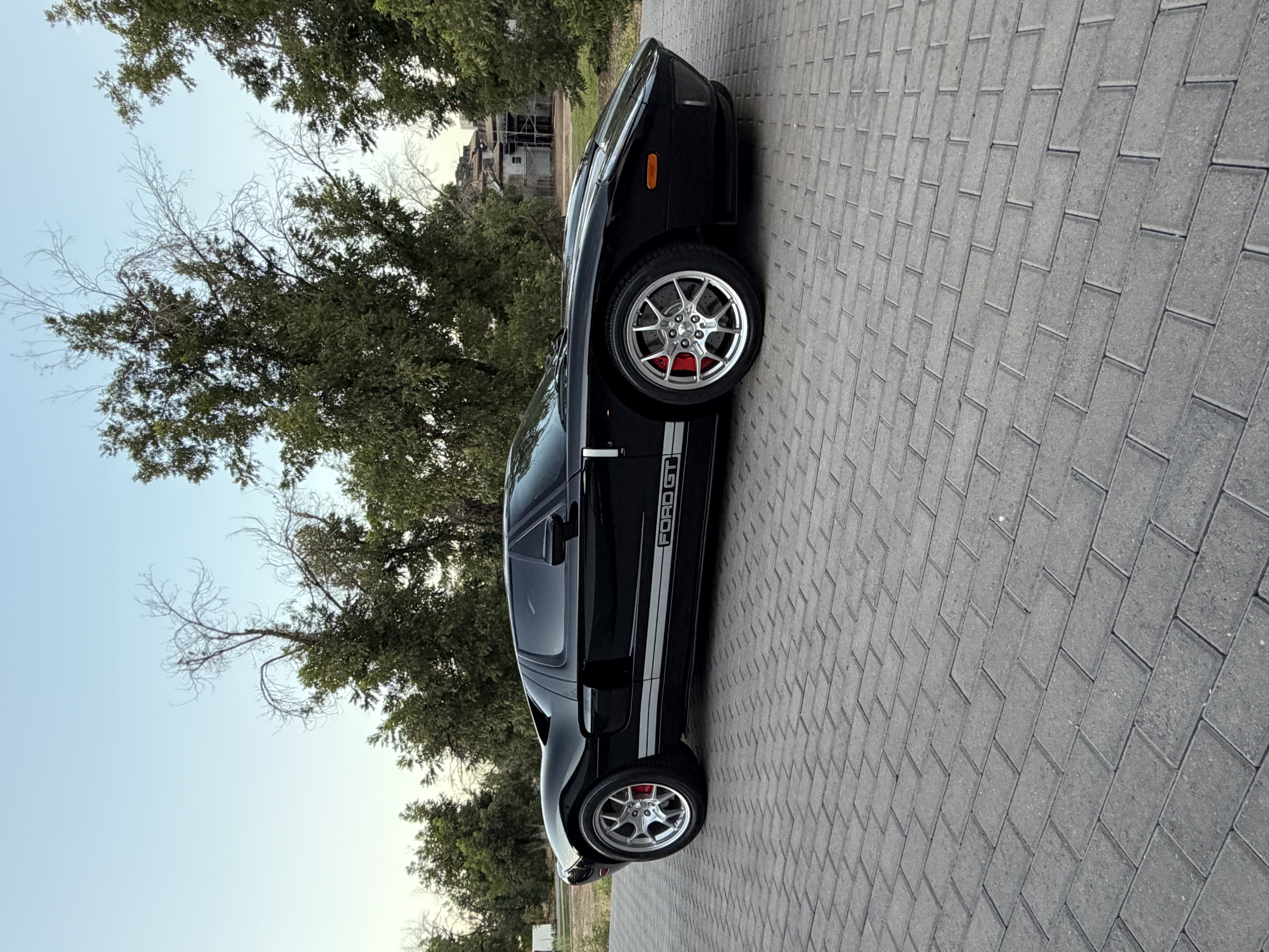 Used 2005 Ford GT RWD image 10