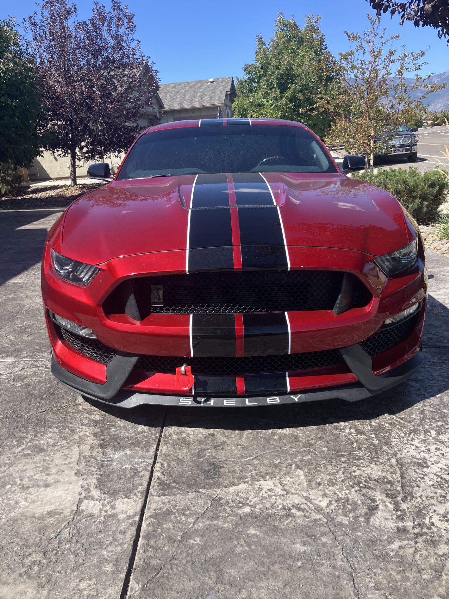 Used 2017 Ford Mustang Shelby GT350 w/ Electronics Package RWD image 22
