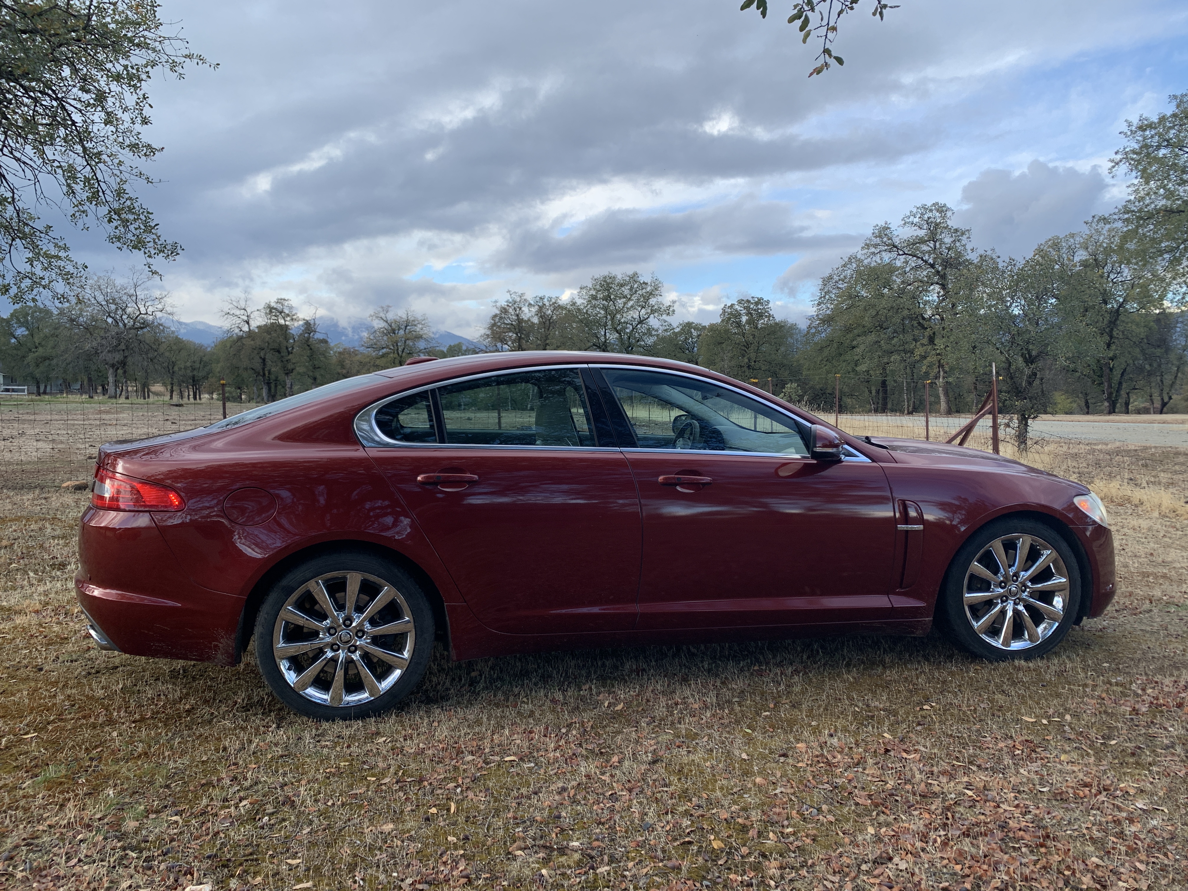 Used 2011 Jaguar XF Premium RWD image 6