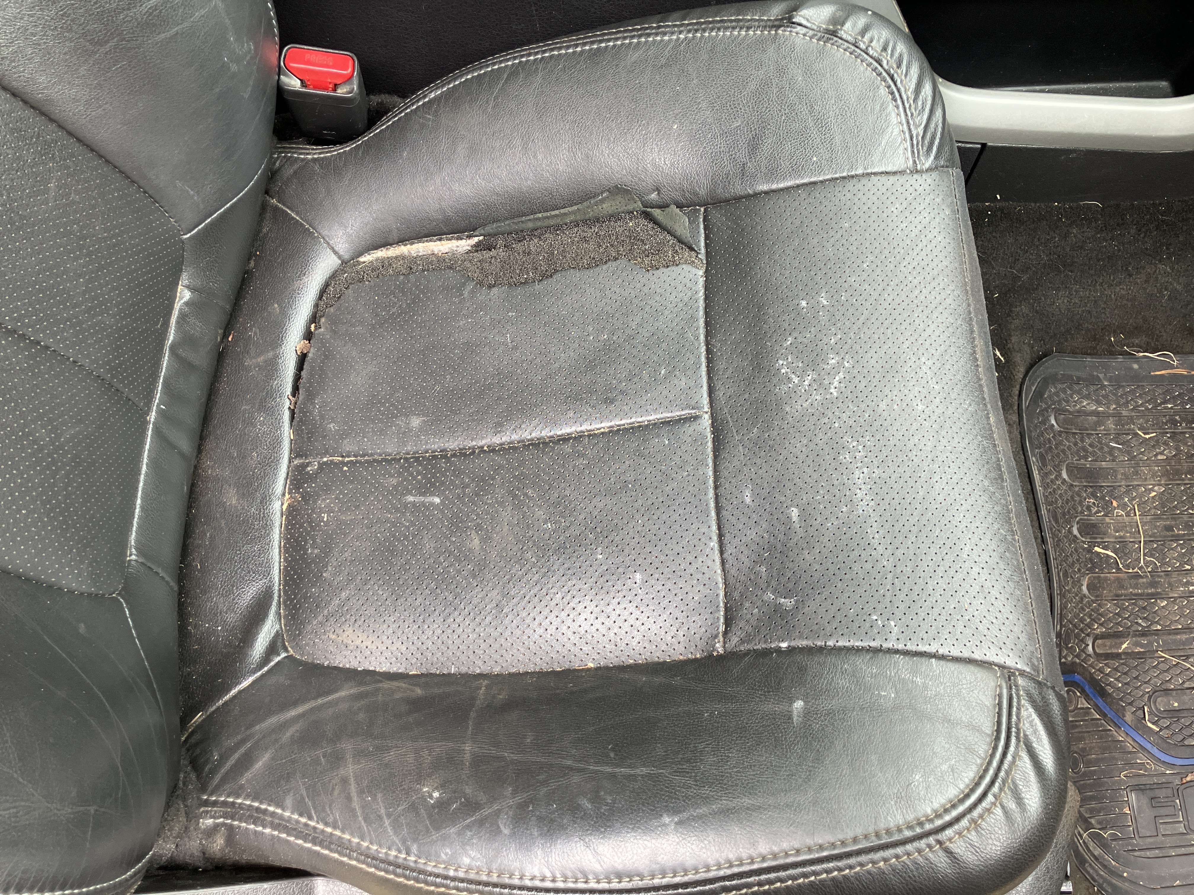 Used 2013 Ford F150 Lariat w/ Luxury Equipment Group AWD/4WD image 14