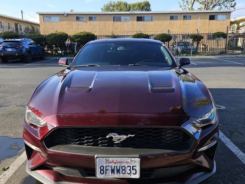 Used 2018 Ford Mustang Coupe image 1