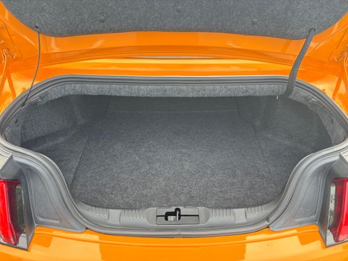 Used 2019 Ford Mustang Premium w/ Equipment Group 201A image 15