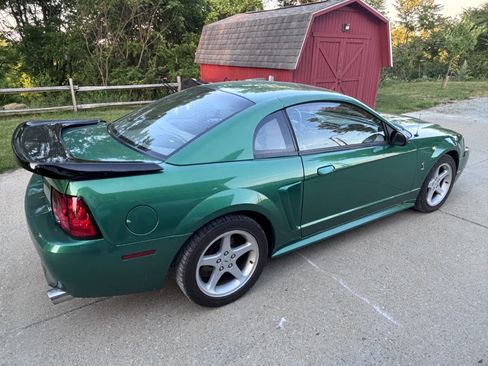 Used 1999 Ford Mustang Cobra RWD image 4